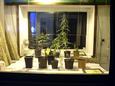 Der Grow-Ansichtsschrank