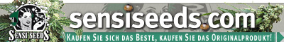 Sensi Seeds Banner