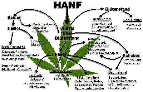 Schaubild zur Hanf verwendung