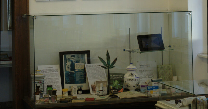 Cannabis in der Medizin / Cannabis in medicine