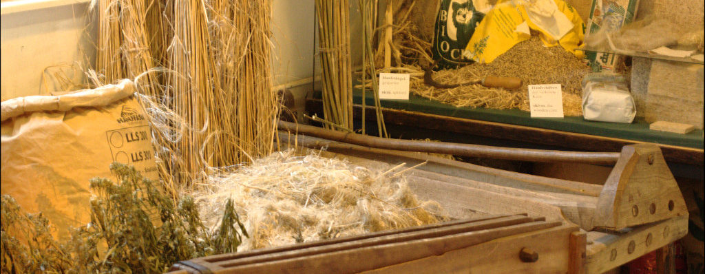 Hanf Brechen für Fasern / Breaking the hemp for fibres