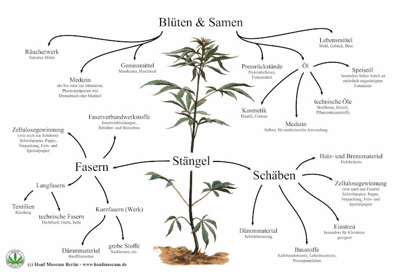 Nutzungs Schema Hanf auf 800x550