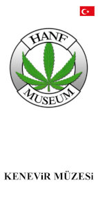 KENEViR MÜZESi - Hanf Museum - Berlin, Almanya