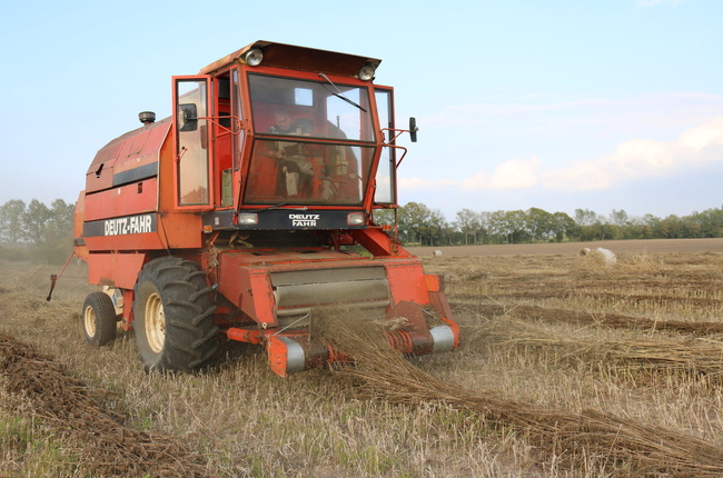 Foto einer Hanferntemaschine Hanffaser Uckermark